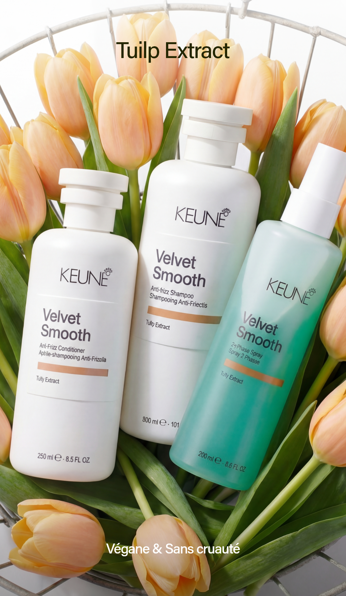 Après-shampooing Keune Velvet Smooth : Riche en antioxydants naturels, ce produit lutte contre frisottis et la casse, laissant les cheveux lisses et faciles à coiffer.